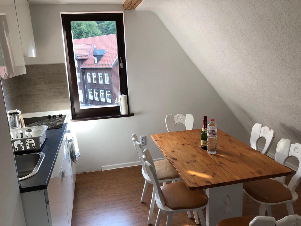 Ferienhaus Art Apartment - Harz Zorge Kültér fotó