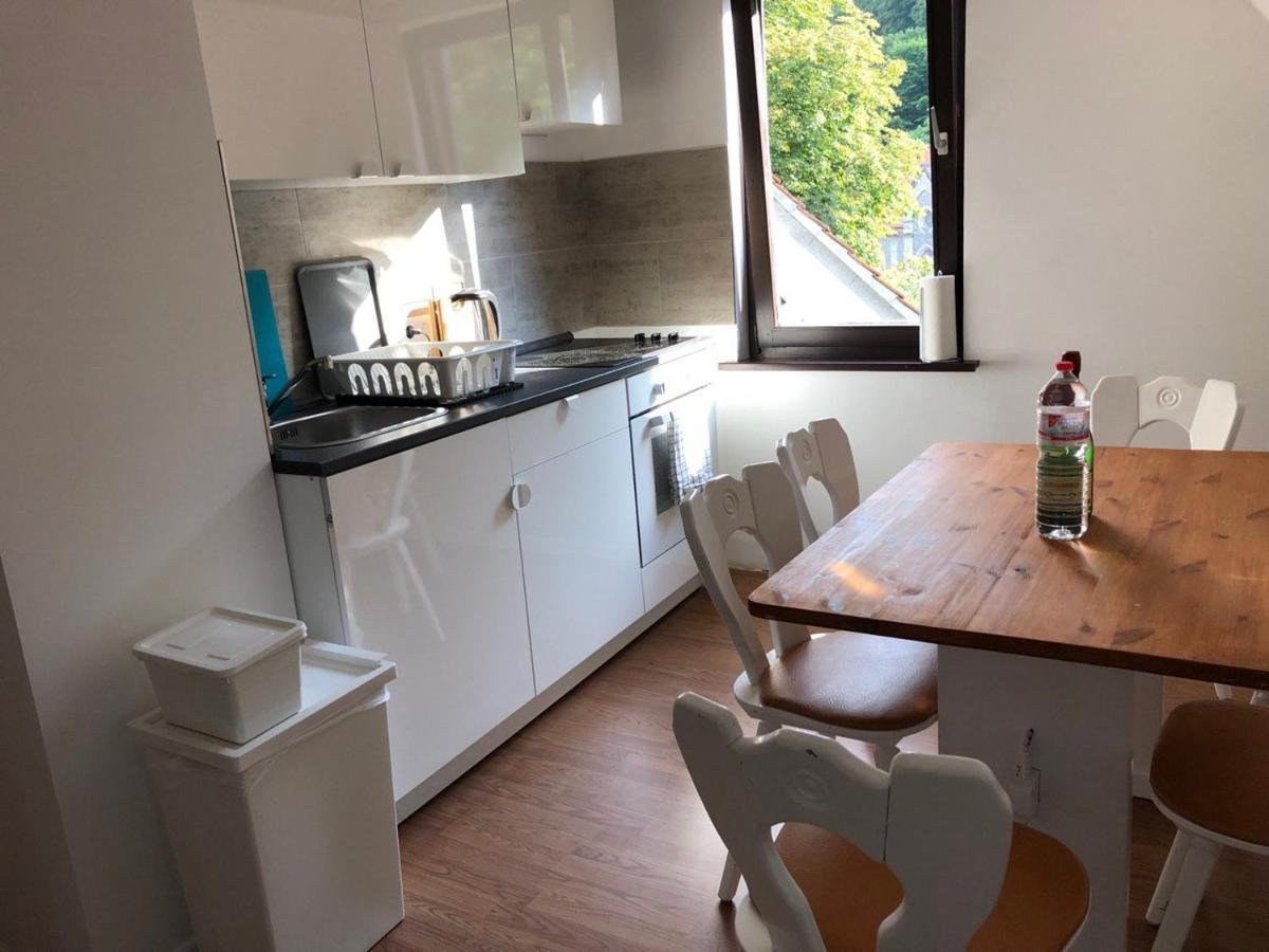 Ferienhaus Art Apartment - Harz Zorge Kültér fotó