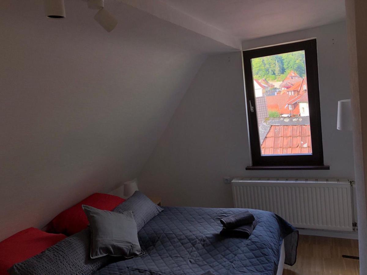 Ferienhaus Art Apartment - Harz Zorge Kültér fotó