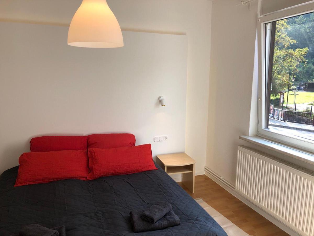 Ferienhaus Art Apartment - Harz Zorge Kültér fotó
