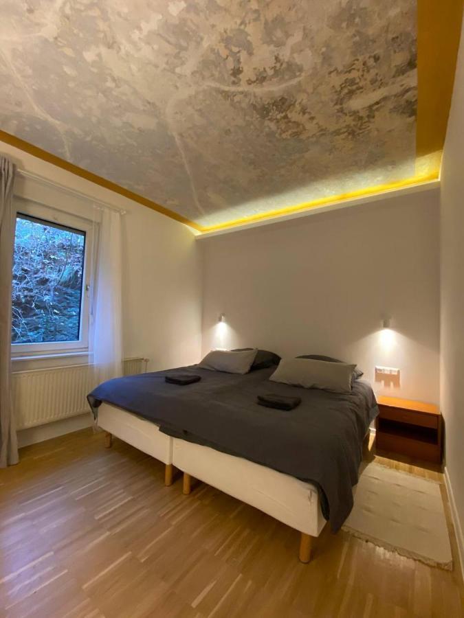 Ferienhaus Art Apartment - Harz Zorge Kültér fotó