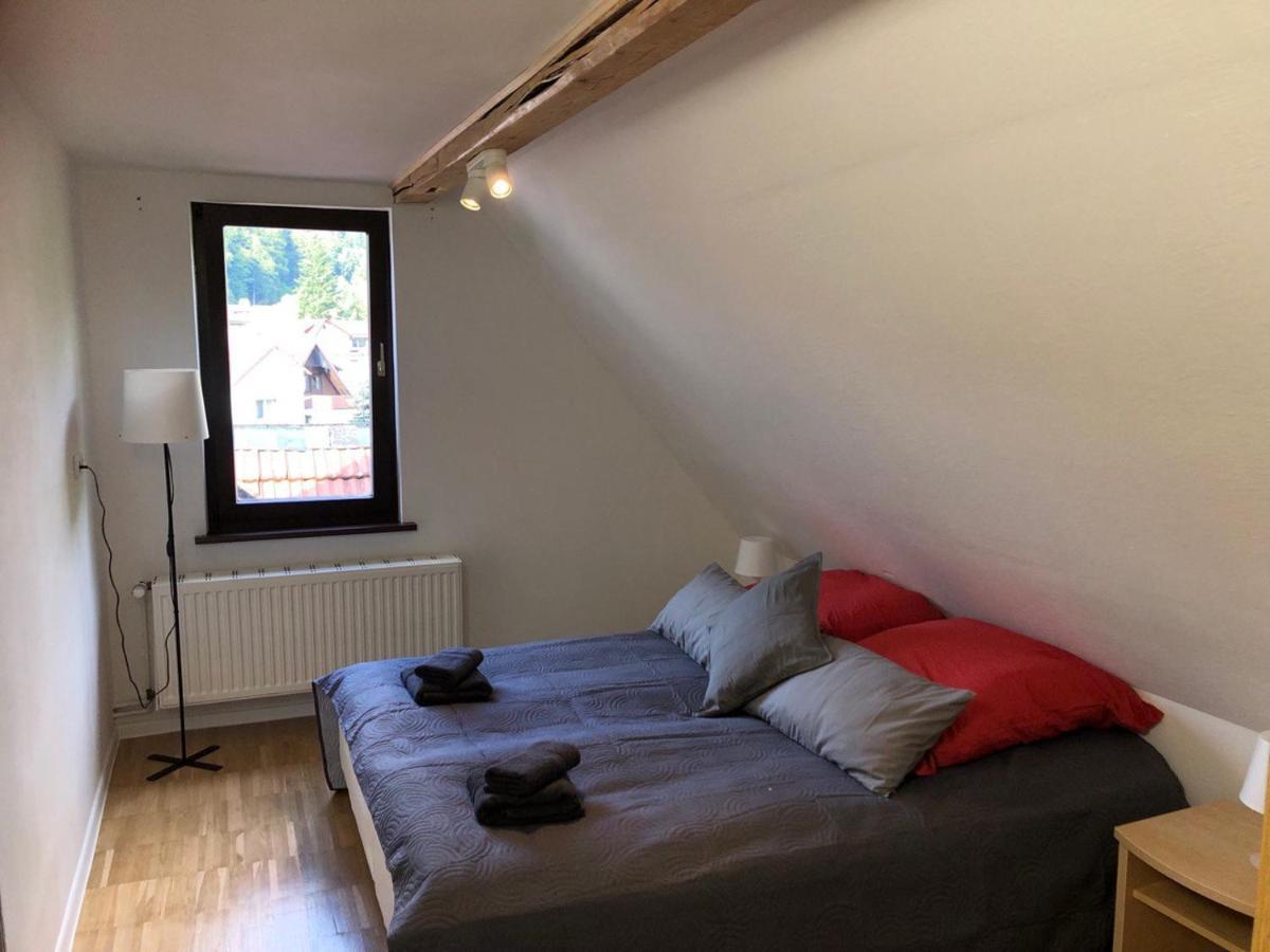 Ferienhaus Art Apartment - Harz Zorge Kültér fotó