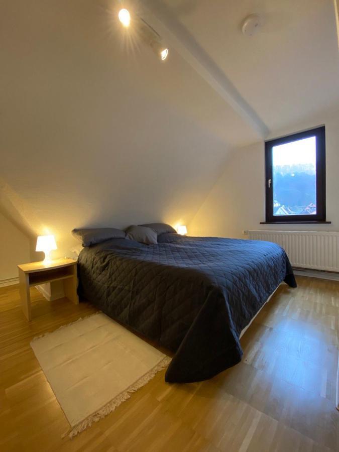 Ferienhaus Art Apartment - Harz Zorge Kültér fotó