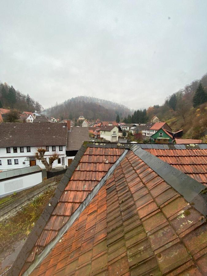 Ferienhaus Art Apartment - Harz Zorge Kültér fotó