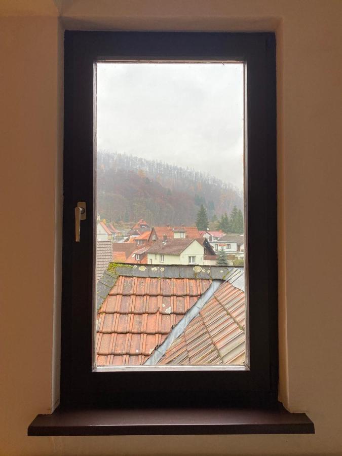 Ferienhaus Art Apartment - Harz Zorge Kültér fotó