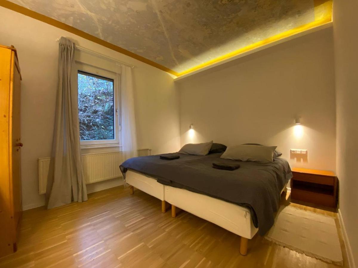 Ferienhaus Art Apartment - Harz Zorge Kültér fotó