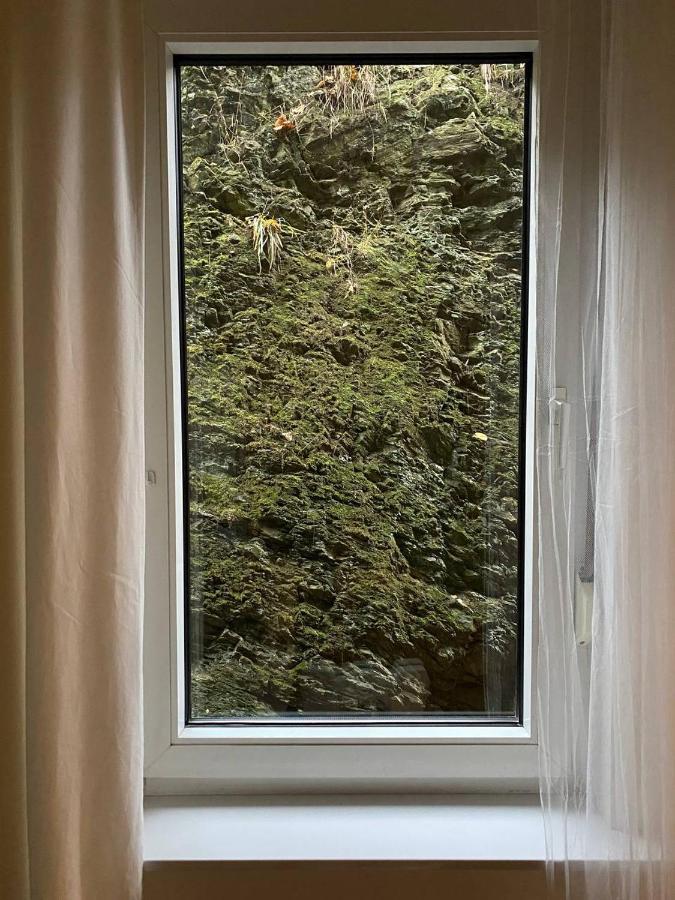 Ferienhaus Art Apartment - Harz Zorge Kültér fotó